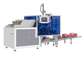 大连Fruit box molding machine